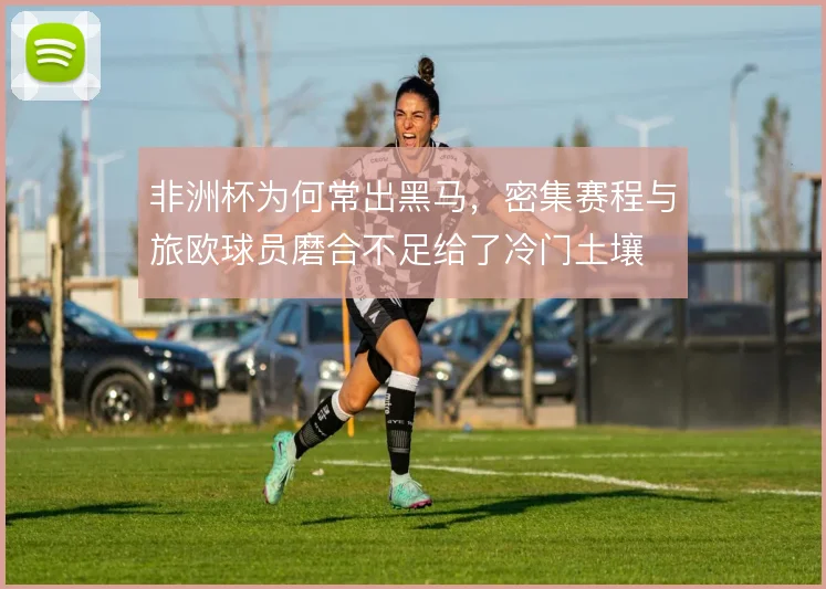非洲杯为何常出黑马,密集赛程与旅欧球员磨合不足给了冷门土壤