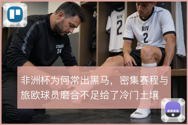 非洲杯为何常出黑马,密集赛程与旅欧球员磨合不足给了冷门土壤
